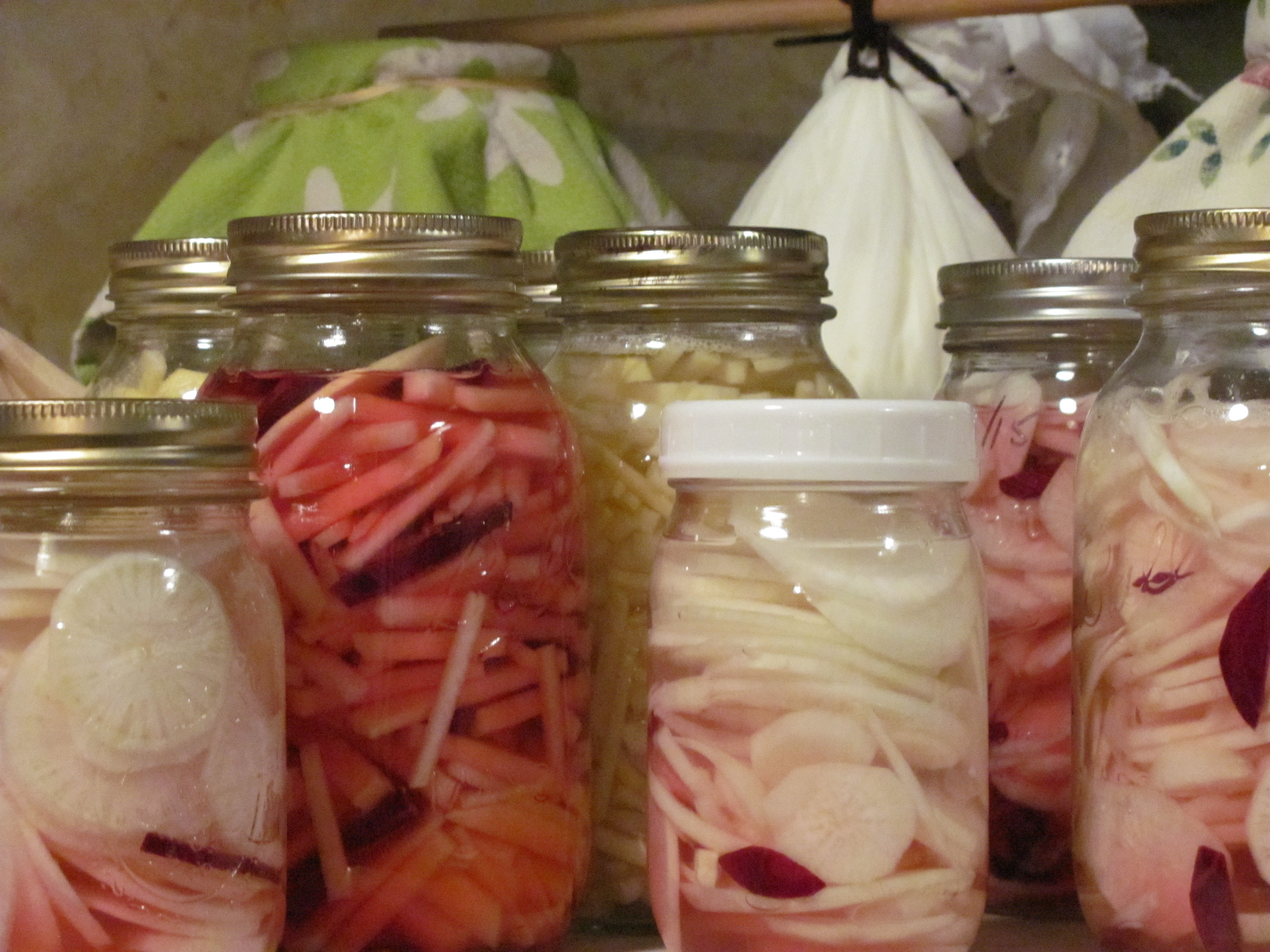 jars of fermented foods