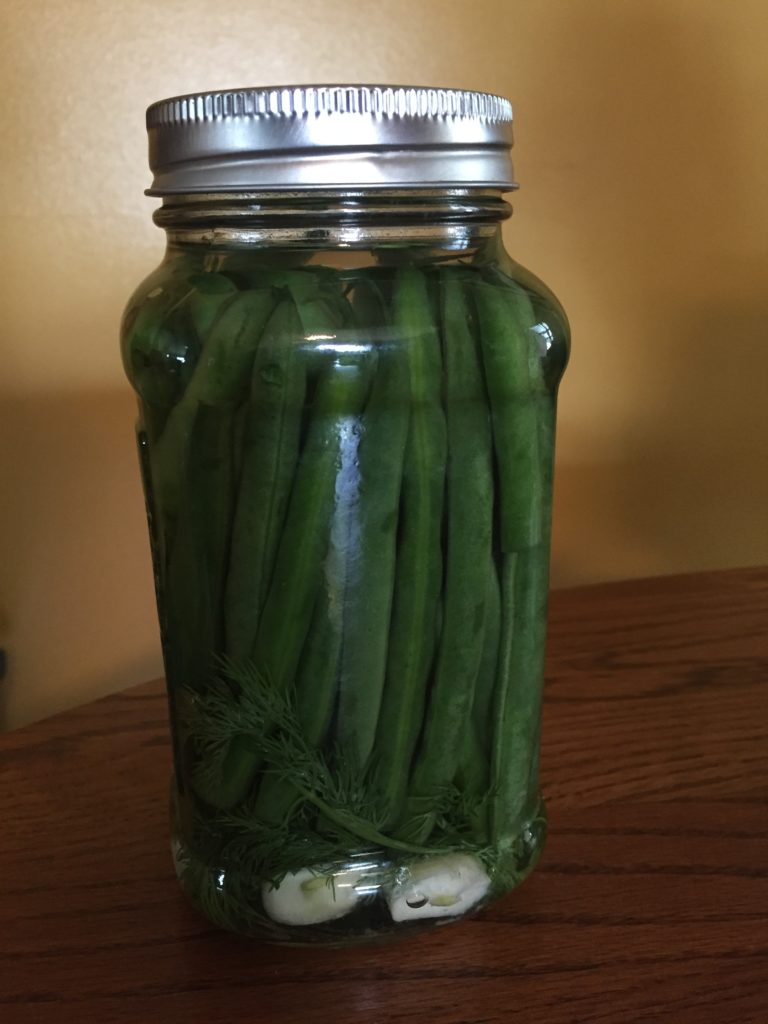 How to Make Fermented Dilly Beans Green Bean Recipe by Renee