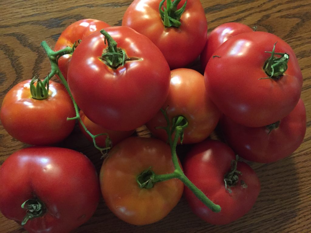 Do you know what to do with extra tomatoes? Organic Stepping Stones