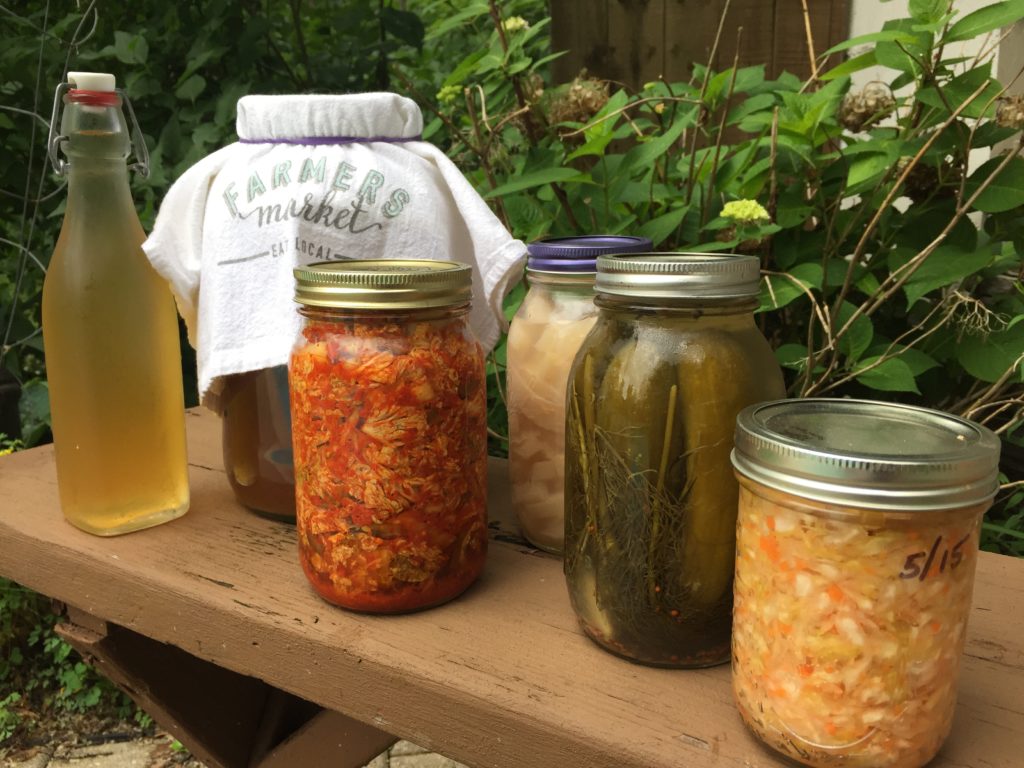 Virtual Fermenting Organic Stepping Stones