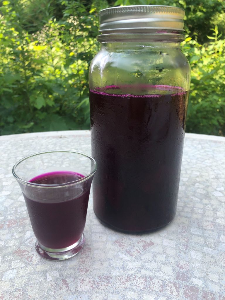 Beet Kvass - Made Spicy or Not - Organic Stepping Stones